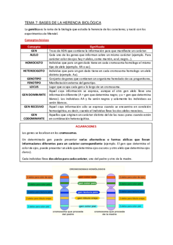 Apuntes-Tema-7.pdf
