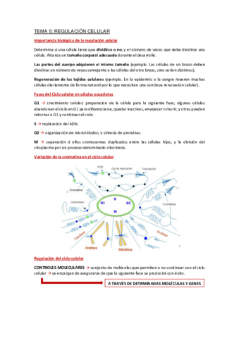 Apuntes-Tema-5.pdf