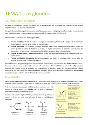Apuntes Bioquímica.pdf