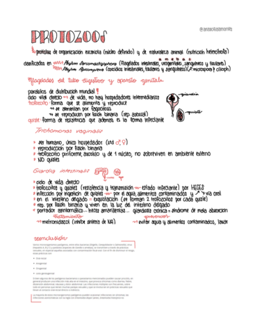 Apuntes-Tema-3-Protozoos.pdf