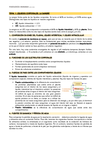 APUNTES-FH-1-3.pdf