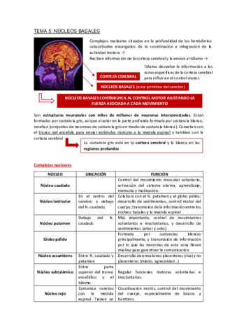 Apuntes-Tema-5.pdf