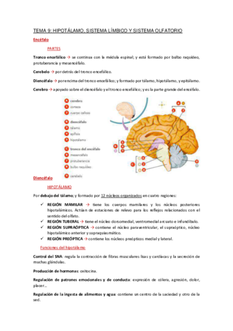 Apuntes-Tema-9.pdf
