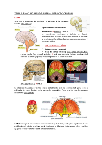 Apuntes-Tema-3.pdf