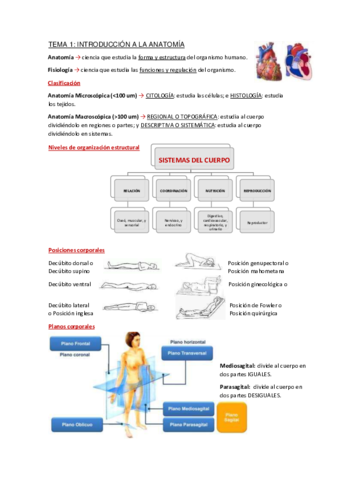 Apuntes-Tema-1.pdf