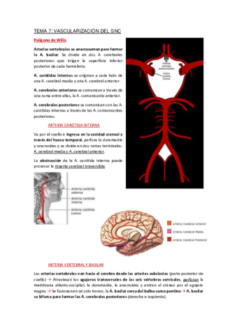 Apuntes-Tema-7.pdf