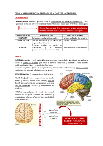 Apuntes-Tema-4.pdf