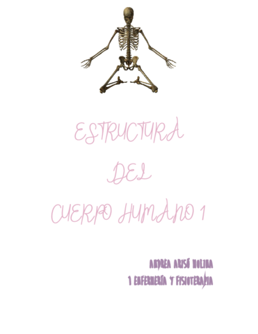 TEMARIO-ESTRUCTURA-I-AAM.pdf