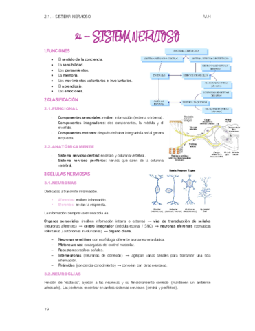 TEMA-2-Sistema-nervioso.pdf