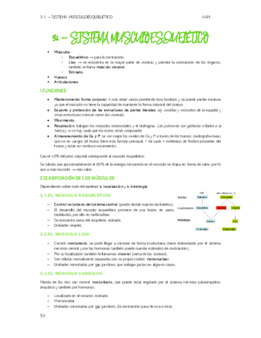 TEMA-3-Sistema-musculoesqueletico.pdf