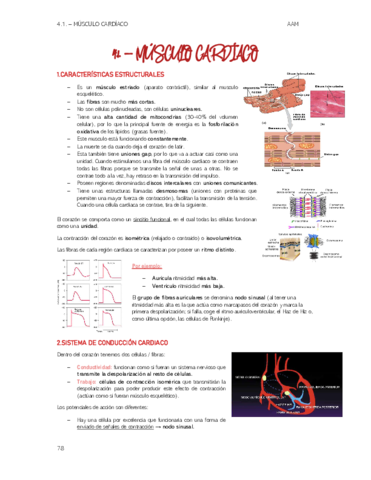 TEMA-4-Musculo-cardiaco.pdf