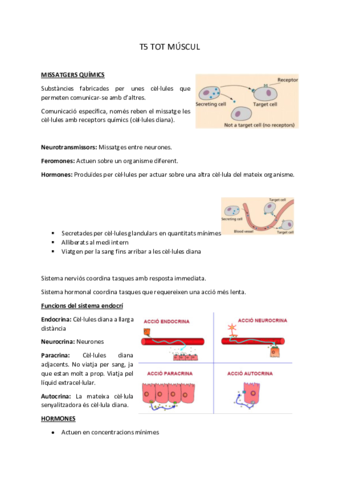BIO-T5.pdf