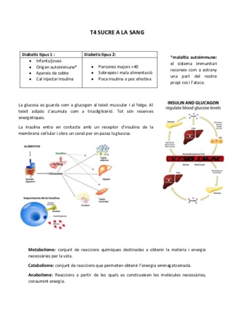 BIO-T4.pdf