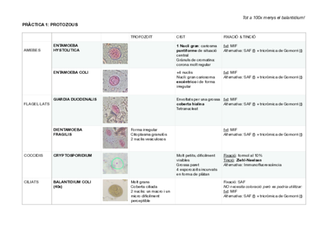 PRACTICA-PARASITO.pdf