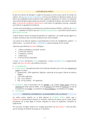 Parte-2Primer-parcial.pdf