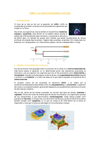 Apuntes-Tema-1-Biologia-Celular.pdf