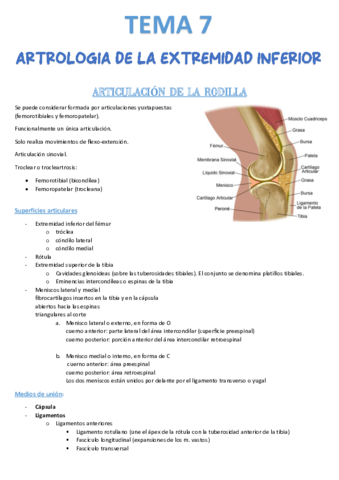 Tema-7-Artrologia-extr.pdf