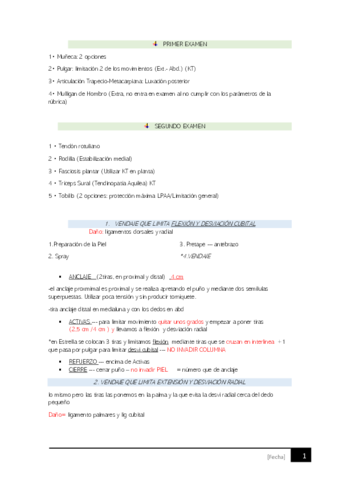 VENDAJES-PRACTICA.pdf