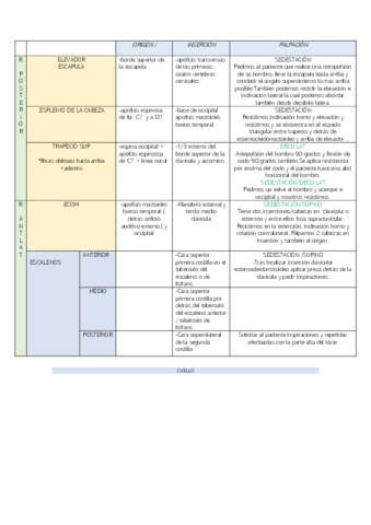 ORIGEN-E-INSERCION-PALPACION.pdf