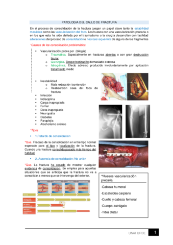 Patologias-1.pdf