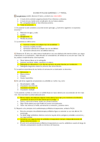 Preguntas-examen.pdf