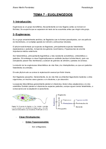 TEMA-7-EUGLENOZOOS.pdf
