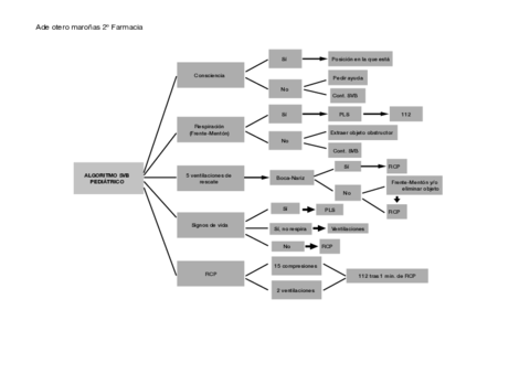 Algoritmos-SVB.pdf