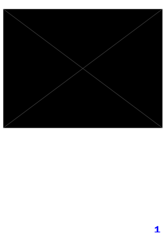 00086717.pdf