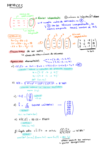 Mates-matrices-y-espacios-vectoriales.pdf