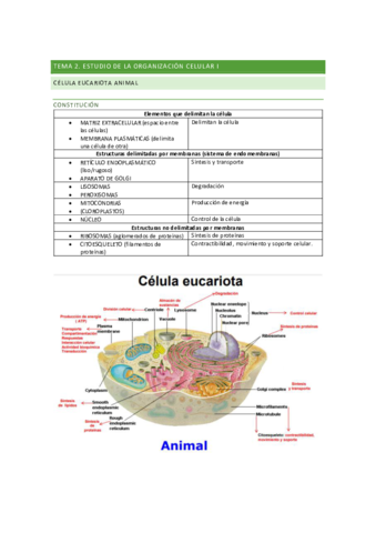 BIO-TEMA-2.pdf