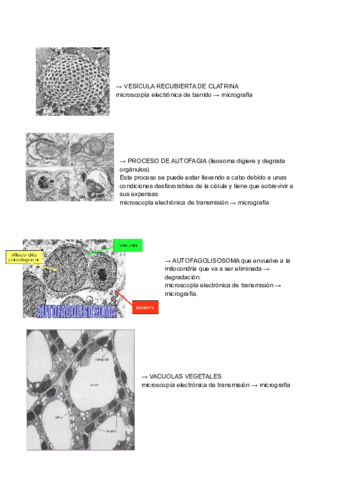 ANALISIS-DE-IMGAGENES.pdf