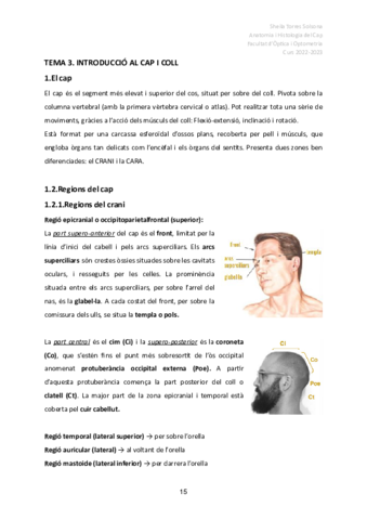 3 Anatomia del cap i del coll