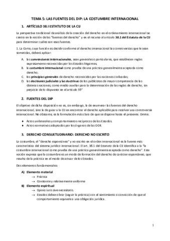 Costumbre-internacional.pdf