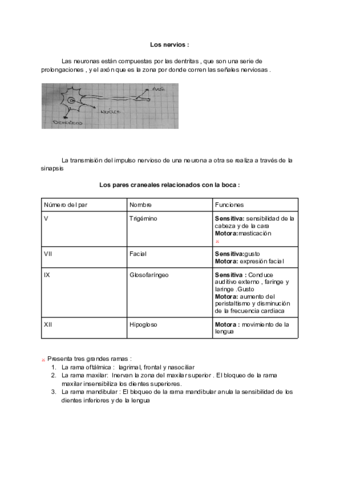 Odontologia-t.pdf