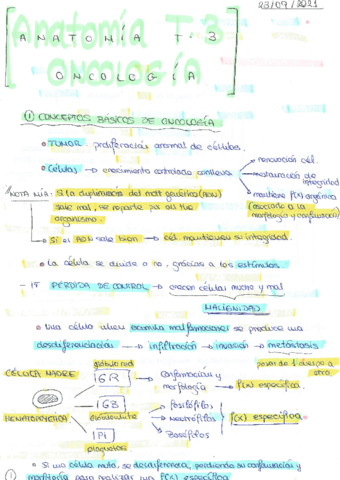 Apuntes-Fundamentos-anatomia-oncologia-T3.pdf