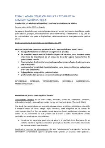 Copia-de-APUNTES-TAP.pdf