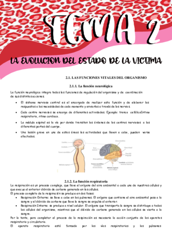 TEMA-2-LA-EVOLUCION-DEL-ESTADO-DE-LA-VICTIMA.pdf