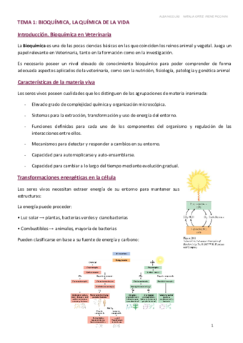 BQ-TEMA-1-9.pdf