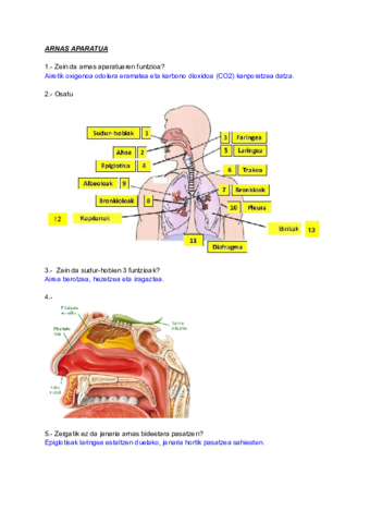arnas-aparatua.pdf