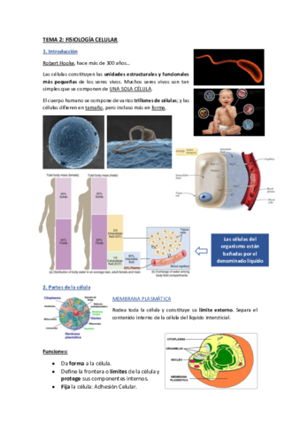 Apuntes-Tema-2.pdf