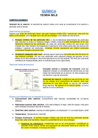 QUIMICA-TEORIA-SELE.pdf