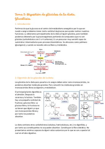 Tema-5-Digestion-glucidos.pdf