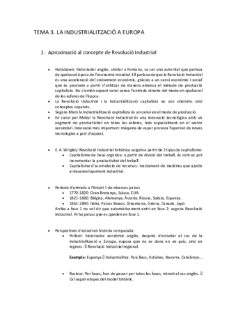 HISTORIAtema-3.pdf