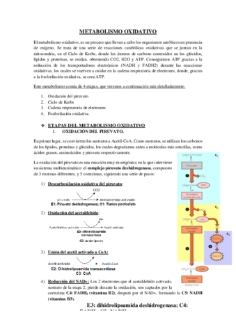 Tema-10-METABOLISMO-OXIDATIVO.pdf