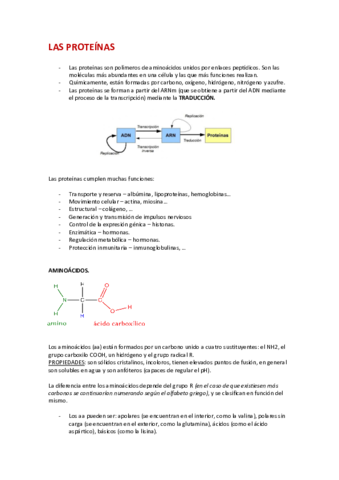 TEMA-6-PROTEINAS.pdf