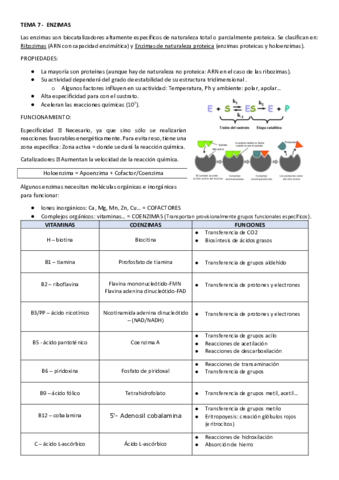 TEMA-7-Enzimas.pdf