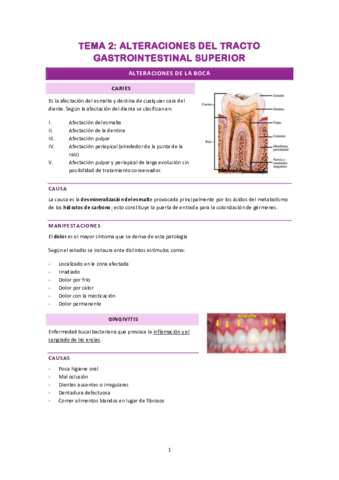 tema-2.pdf