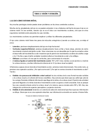 Tema-5-T.pdf