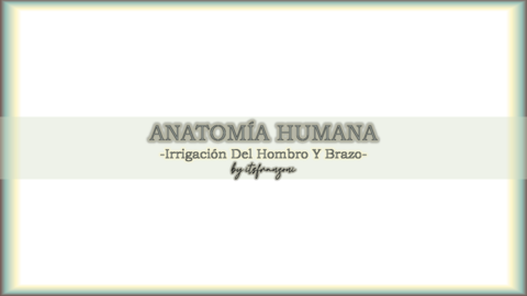 IRRIGACION-DEL-HOMBRO-Y-BRAZO.pdf