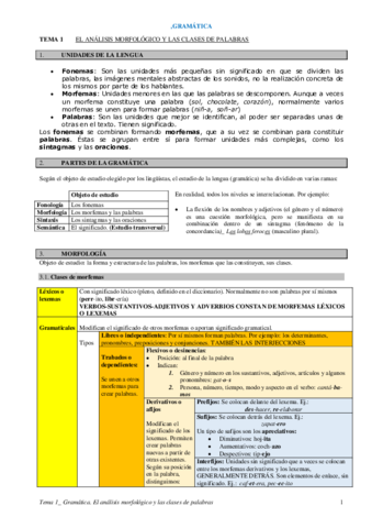 Analisis-morfologico.pdf